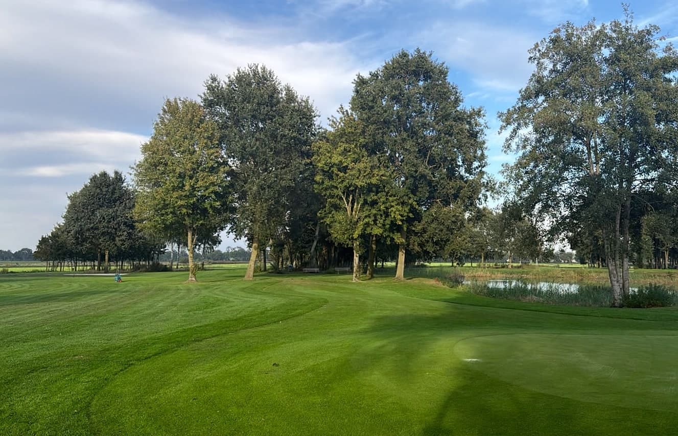 Een green met een vijver en hoge bomen erachter, onder een blauwe lucht.